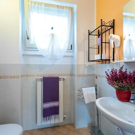 La Collina Degli Ulivi Apartment *