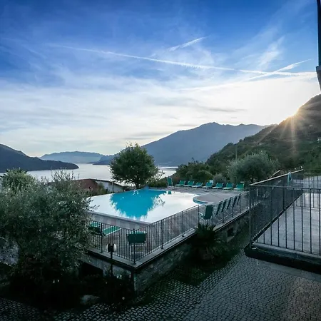 La Collina Degli Ulivi *