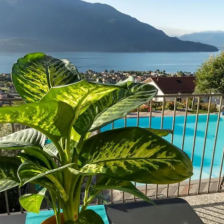 Апартаменты La Collina Degli Ulivi Веркана