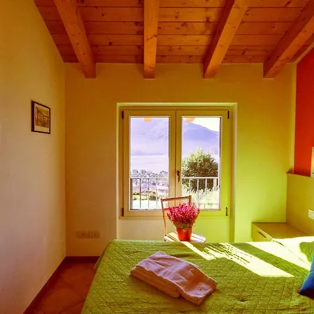 La Collina Degli Ulivi Apartment *