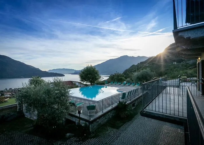 La Collina Degli Ulivi *