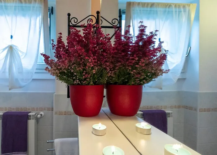 La Collina Degli Ulivi