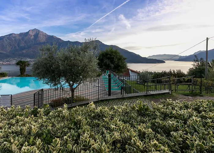 La Collina Degli Ulivi