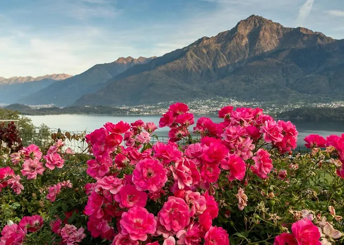 La Collina Degli Ulivi Vercana