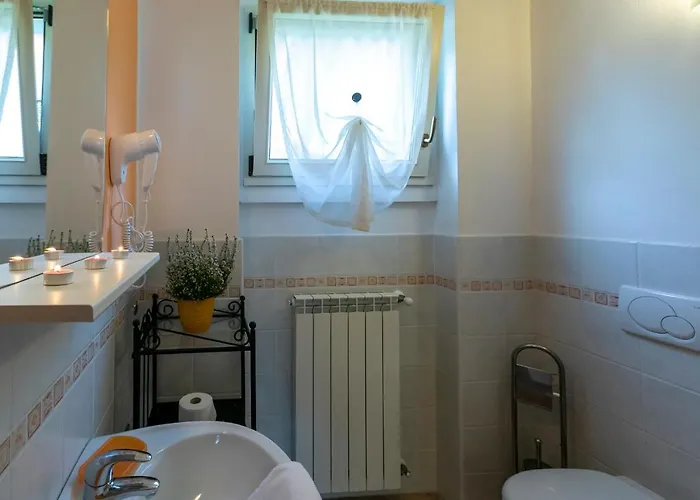 La Collina Degli Ulivi Vercana