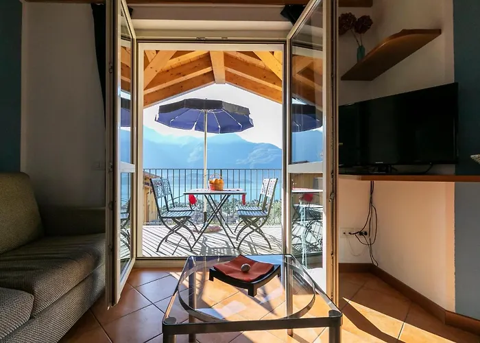 La Collina Degli Ulivi *