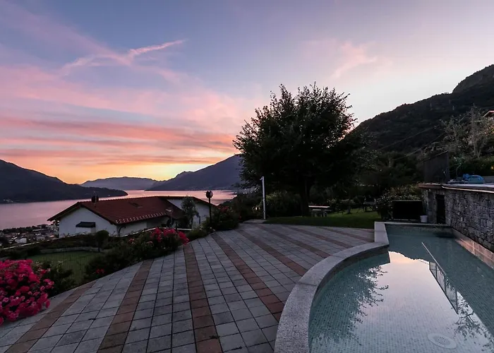 La Collina Degli Ulivi