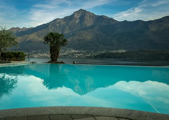 La Collina Degli Ulivi *