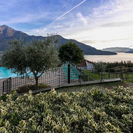 La Collina Degli Ulivi