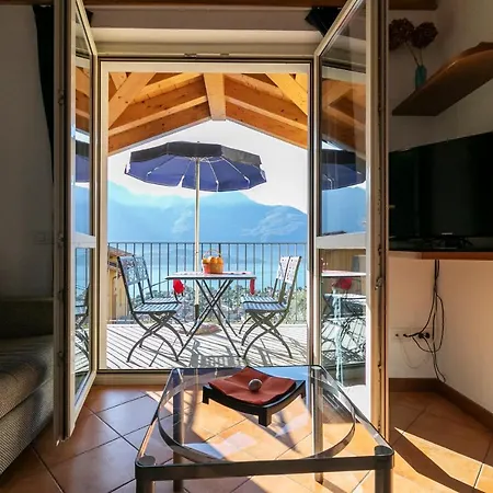 La Collina Degli Ulivi *