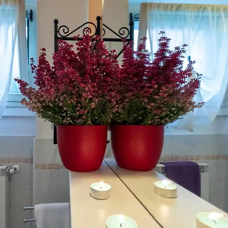 La Collina Degli Ulivi