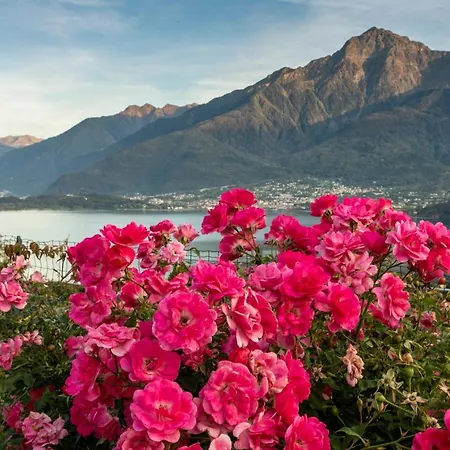 La Collina Degli Ulivi فيركانا