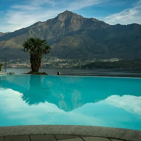 La Collina Degli Ulivi *