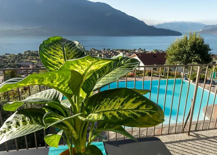 公寓 La Collina Degli Ulivi Vercana